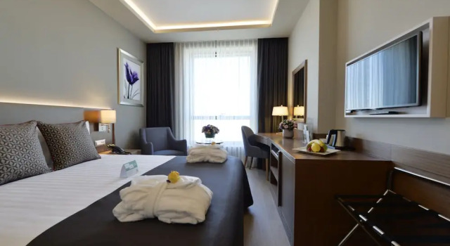 Двухместный номер с диваном-кроватью Standard Holiday Inn Bursa - City Centre by IHG