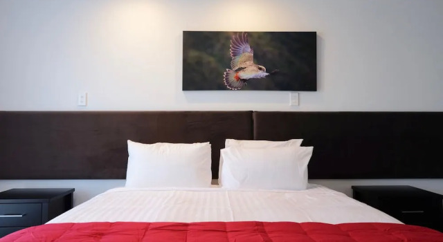 Люкс Deluxe Stopforths Premium Accommodation