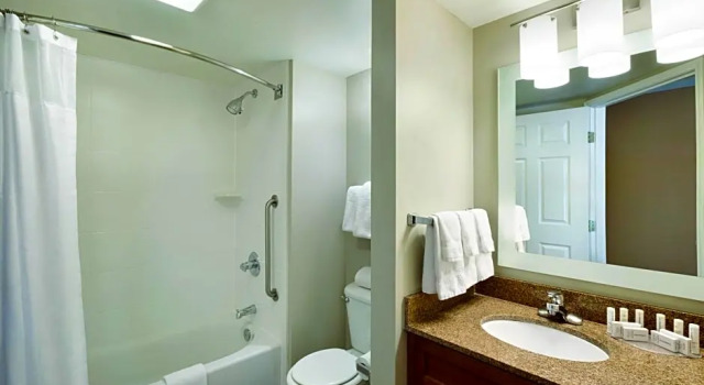 Двухместный люкс c 1 комнатой TownePlace Suites by Marriott Denver Downtown