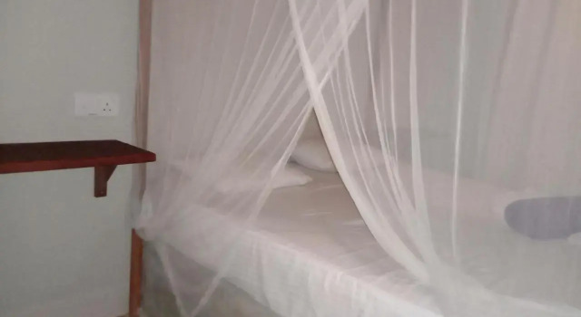 Coconut Surf Inn