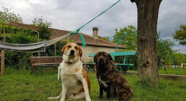 gîte en sud Ardèche