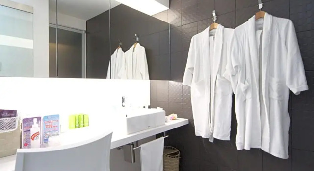 Люкс Standard Hotel Naturwald Furano