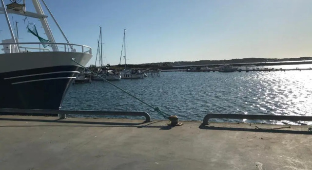 Номер Standard Björkö SeaLodge