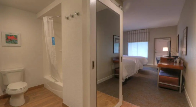 Двухместная студия Hampton Inn Gatlinburg Historic Nature Trail, Tn