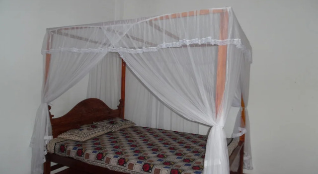Номер Standard Allan Guest House