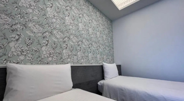 Двухместный номер Superior Hotel SAILS Asakusa