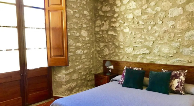 Номер Deluxe Hostal Can Xicu
