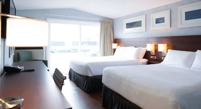 Economy Zimmer Rodd Moncton
