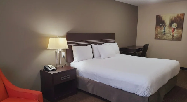 Номер Standard Royal Lodge