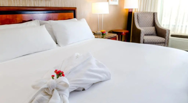 Двухместный номер для некурящих DoubleTree by Hilton Las Vegas Airport