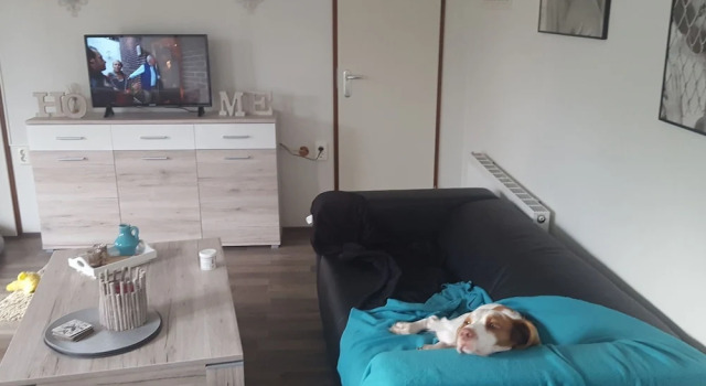 Carefully Furnished Chalet Near the Wadden Sea, Забронировать Шале Отели Норда 3 звезды, 3*