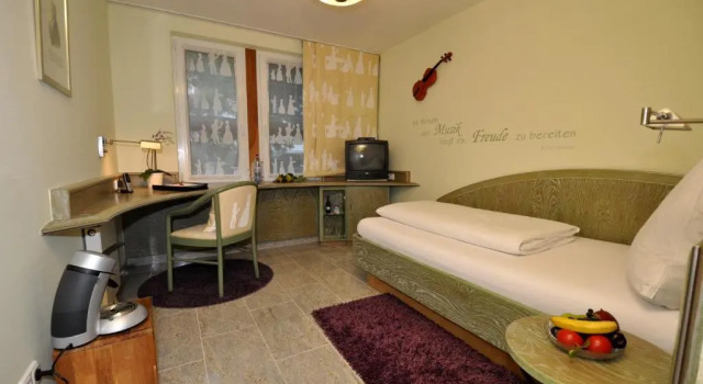 Одноместный номер Standard Malerwinkel Hotel