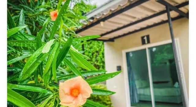 พักดีรีสอร์ท 2, Varaa Hotelli Hotellit North-Eastern Thailand pysäköinnillä, Pysäköinti