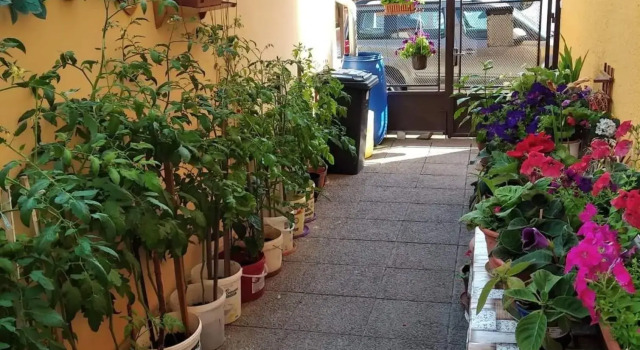 Ubytování U Součků Jindřichův Hradec, Rezerwuj Hotel Hotele w Central Bohemia z parkingiem, Parking