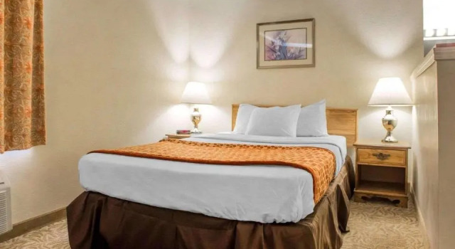 Suite University Inn & Suites