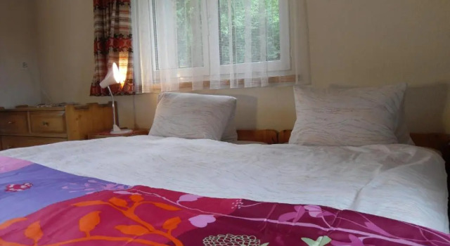 Номер Standard Hotel Alpina