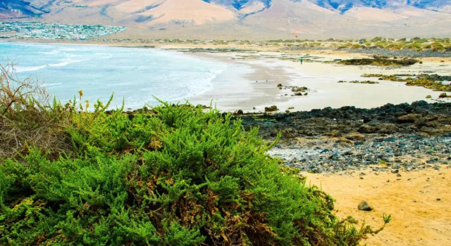 Seaview Risco de Famara 2, Prenota Hotel Teguise 