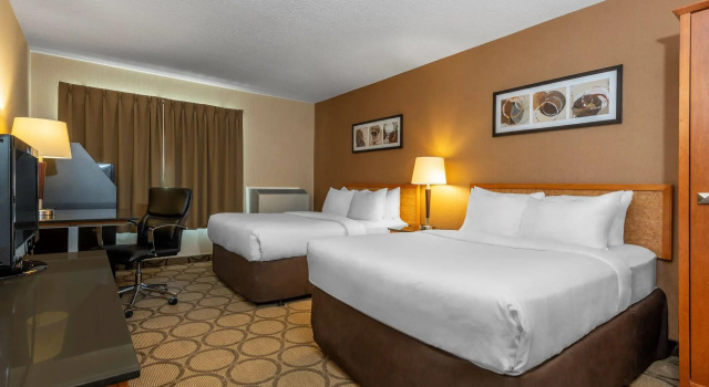 Camera quadrupla Standard Comfort Inn