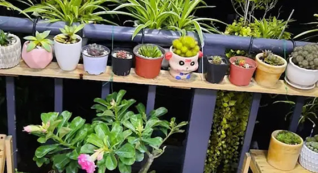 Апартаменты Sena Home