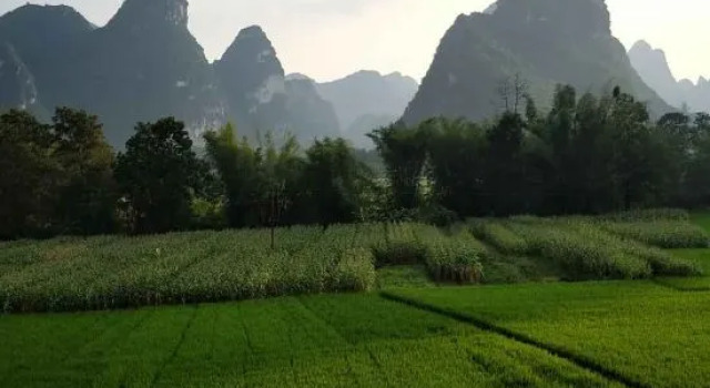 Daxin Mingshi Daoxiang Inn, Rezerwuj Hotel Chongzuo Guangxi