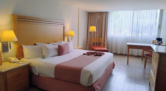 Suite Deluxe Hotel Palacio Azteca