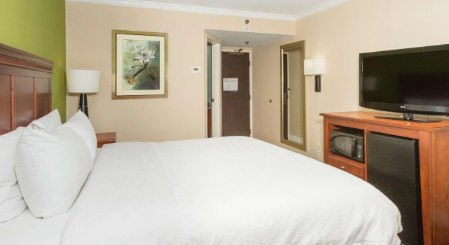 Двухместный номер Standard Hampton Inn Daytona Speedway-Airport