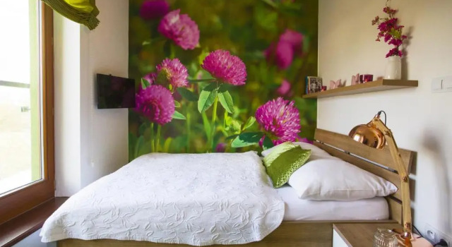 Номер Standard Design Hotel Romantick