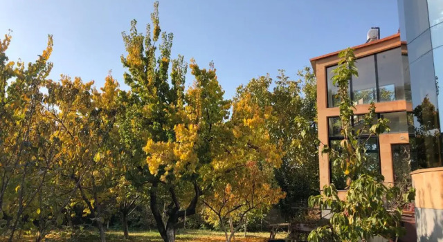 Villa Villa in Nork