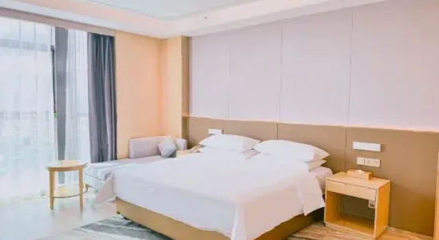 Люкс Business Vienna International Hotel (Chuxiong Ruite Store)