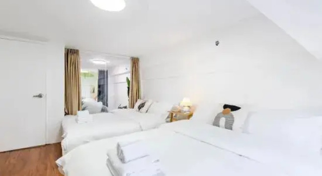 Семейный люкс с 4 комнатами Yangcheng Elegant House · Children's Slide Park