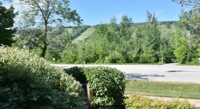 Апартаменты Wintergreen Retreat with Private Sauna & Patio 82291