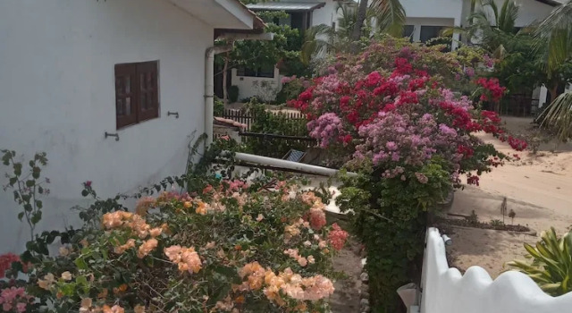 Номер Superior Villa Papaya