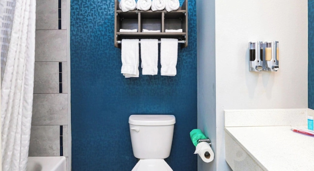 Двухместный номер Deluxe Palace Inn Blue Laura Koppe Rd