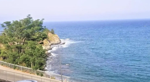 Appartement Banyuls-sur-Mer, 3 pièces, 4 personnes - FR-1-309-281
