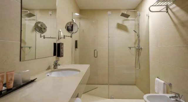 Номер Standard Hotel Regina