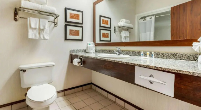 Люкс Comfort Inn Summerville - Charleston