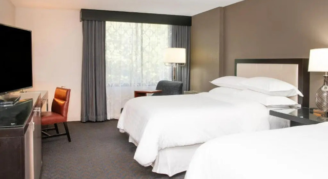 Четырёхместный клубный номер Standard Sheraton Minneapolis West Hotel