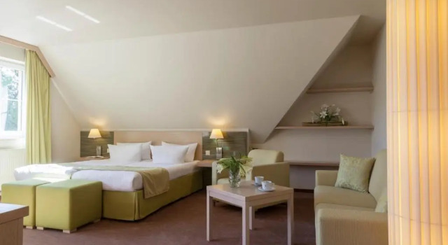 Двухместный номер Standard Logis Hôtel Kur- und Wellnesshaus Spree Balance