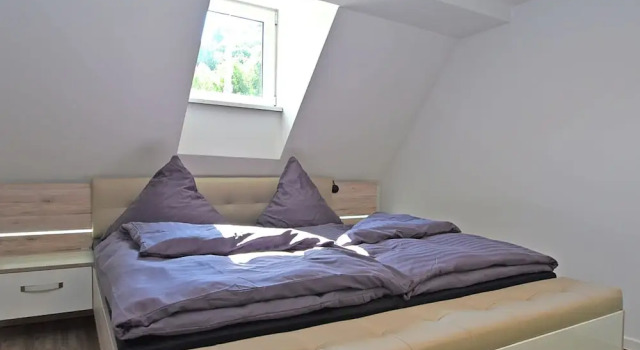 Modern and Lightly-furnished Holiday Home in Harz With Garden and Terrace