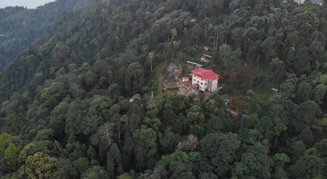Tinchuley Ratna Vajra Vatika Resort, Reserva ahora Resort Rangli Rangliot India