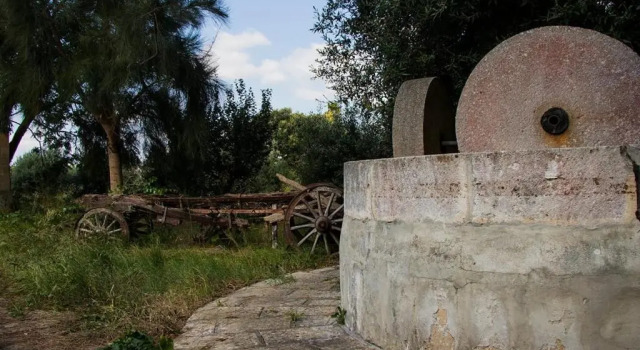 Апартаменты Economy Agriturismo Capani