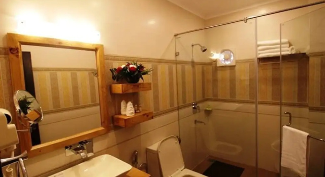 Номер Premium Adb Rooms The Oak Tree House