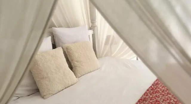 Двухместный люкс Chambres dhôtes & spa Le Jardin de Ravintsara