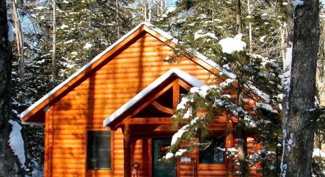 Номер Standard с видом на окрестности Robert Frost Mountain Cabins