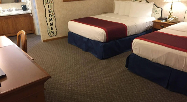 Swiss Alps Inn