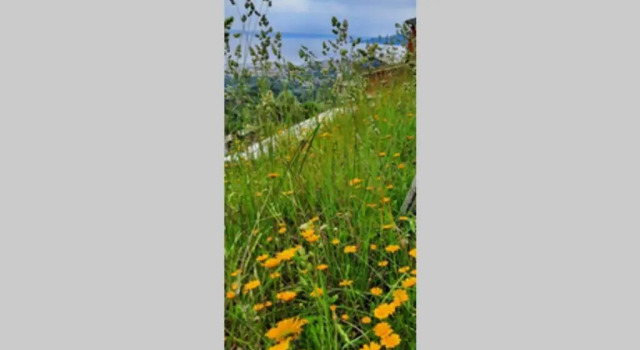 Коттедж La Finestra Sul Golfo - Citra 010018-Lt-0033 -