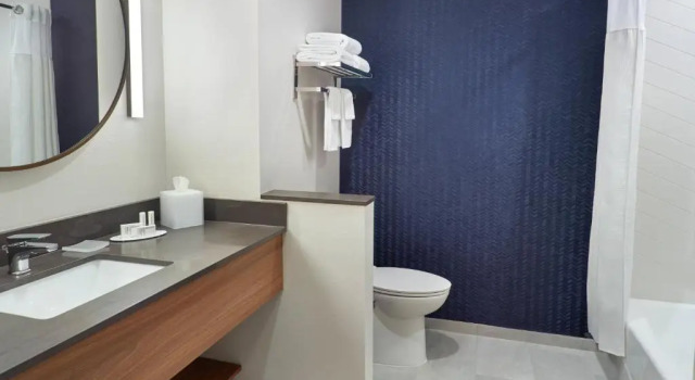 Номер Standard Fairfield Inn & Suites by Marriott Athens-University Area