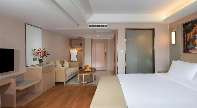 Vienna International Hotel (Beijing Qingyuan Road Metro Station)