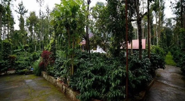 The Outback Coorg Estate by StayApart, Réserver Hôtel Suntikoppa Coorg