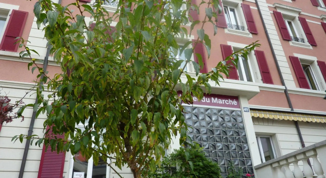 Hotel du Marche